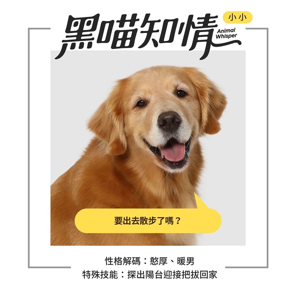 20250927-yovgz