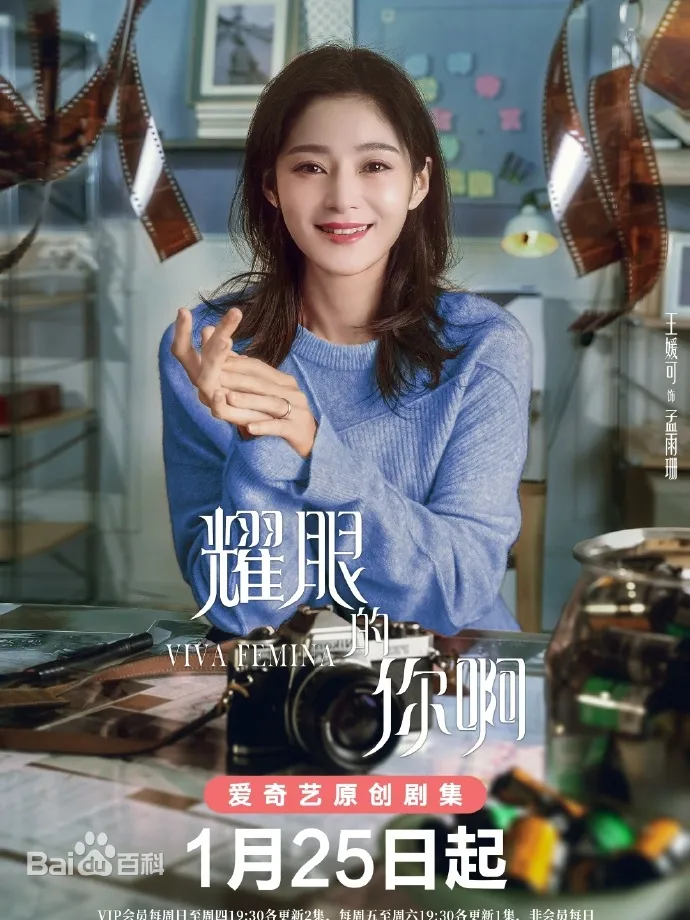耀眼的你啊（陸劇）：劇情簡介＆人物介紹