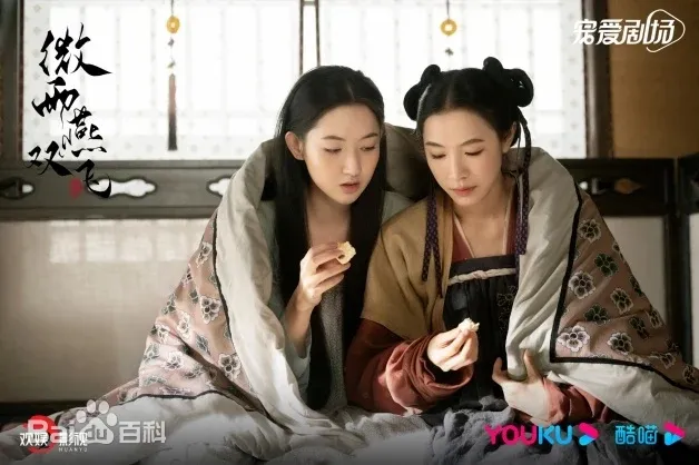 微雨燕雙飛(風雨濃，胭脂亂)陸劇：劇情簡介＆人物介紹