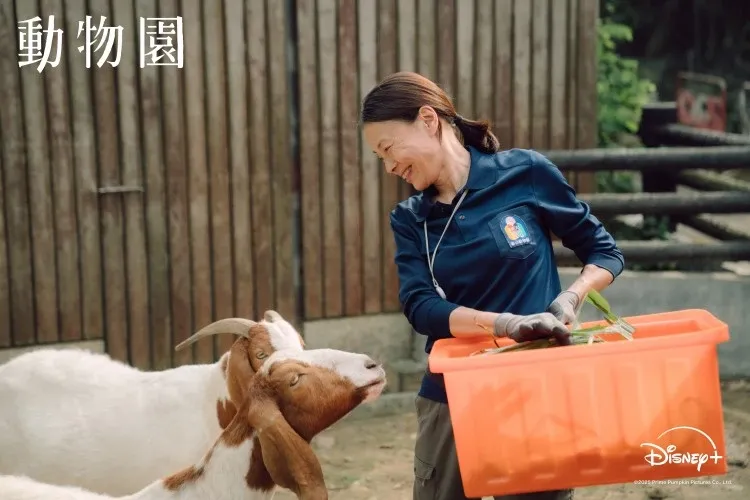 2026年療癒台劇《動物園》12大看點，邵雨薇、王柏傑與李淳擔綱演出。