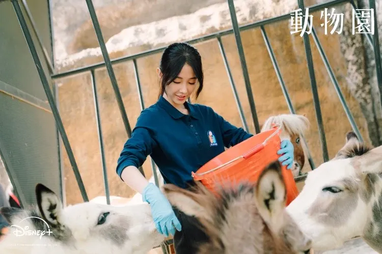2026年療癒台劇《動物園》12大看點，邵雨薇、王柏傑與李淳擔綱演出。