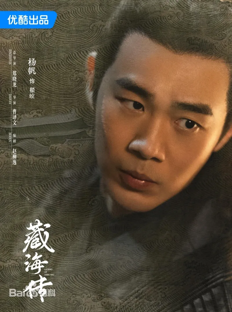藏海傳（陸劇）：劇情簡介＆人物介紹；本劇由肖戰、張婧儀主演的一部富含復仇色彩和權謀元素的古裝傳奇劇，預定首播時間2025年5月18日在優酷視頻播出。