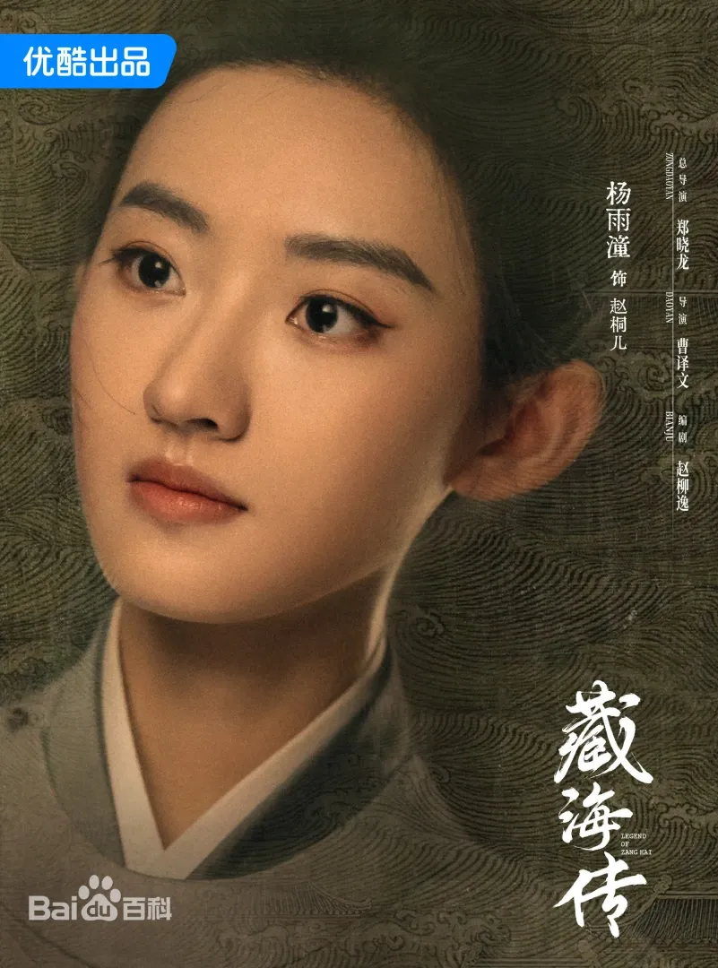 藏海傳（陸劇）：劇情簡介＆人物介紹；本劇由肖戰、張婧儀主演的一部富含復仇色彩和權謀元素的古裝傳奇劇，預定首播時間2025年5月18日在優酷視頻播出。