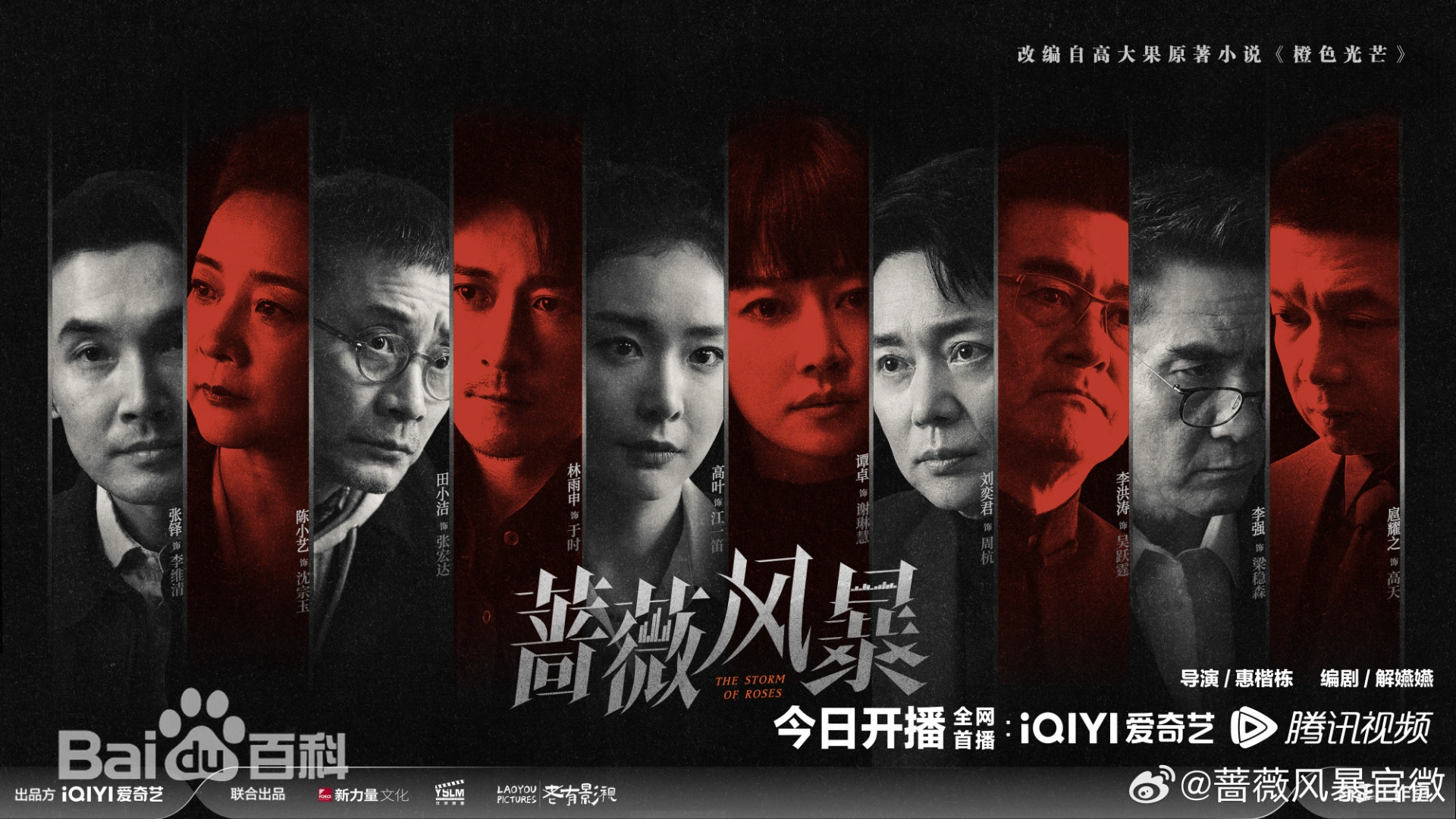 陸劇《薔薇風暴》背後權力與欲望的博弈，由導演惠楷棟執導，編劇解嬿嬿執筆，譚卓、高葉、劉奕君領銜主演。